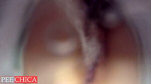 Wcipce de esperma: Una vista de cámara oculta de una sorpresa de creampie